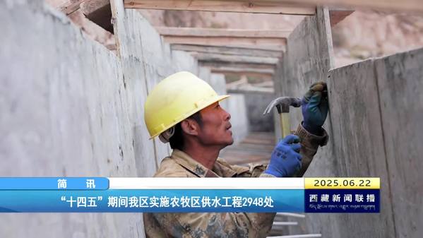 “十四五”期间西藏自治区实施农牧区供水工程2948处