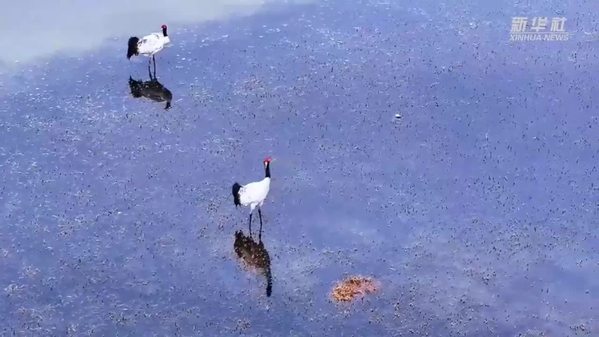 高原夏日的“亲子课堂”