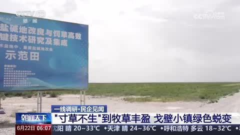 【一线调研·民企见闻】“寸草不生”到牧草丰盈 戈壁小镇绿色蜕变