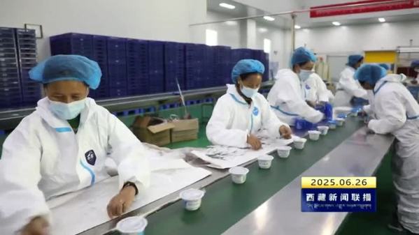 【优化营商环境我们在行动】拉萨市推出惠企政策“免申即享” 为企业发展赋能增效