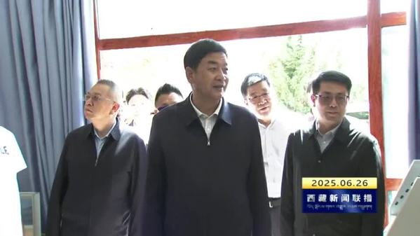 严金海在拉萨市调研时强调：扎实推进中华民族共同体建设 为建设美丽幸福西藏共圆伟大复兴梦想凝聚力量