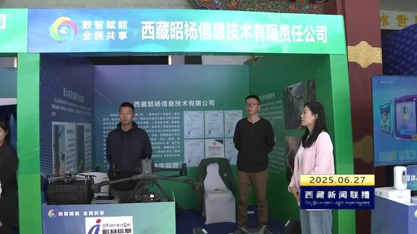 2025年西藏自治区全民数字素养与技能提升月活动启动