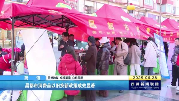 昌都市消费品以旧换新政策成效显著