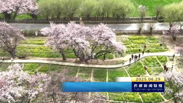 牢记殷切期望 为建设繁荣稳固的祖国边疆贡献力量