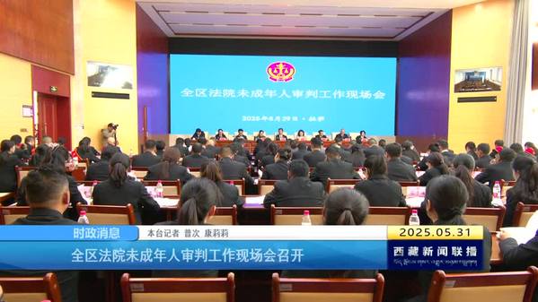 西藏自治区法院未成年人审判工作现场会召开