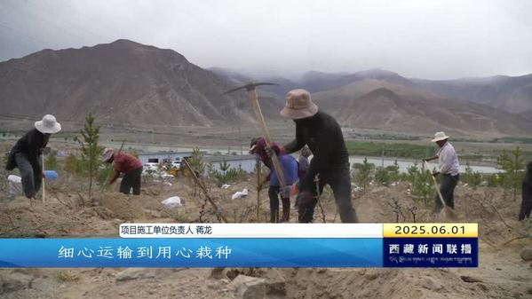 【新时代新征程新伟业•创建国家生态文明高地】桑日县：南北山绿化工程稳步推进 生态蓝图逐渐铺展