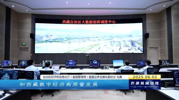西藏自治区数字经济蓬勃发展 规模以上数字经济企业达60家