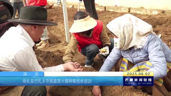 申扎县巴扎乡开展蔬菜大棚种植技术培训