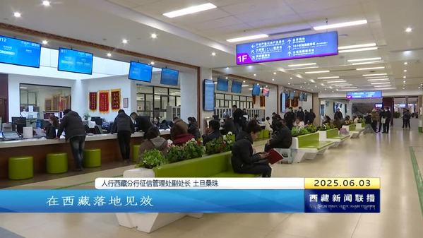 【新时代新征程新伟业•创建高原经济高质量发展先行区】西藏资金流信息平台助力中小微企业融资4.43亿元