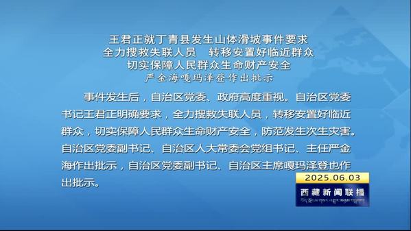 王君正就丁青县发生山体滑坡事件要求 全力搜救失联人员 转移安置好临近群众 切实保障人民群众生命财产安全