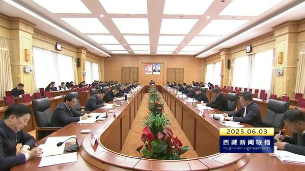王君正主持召开西藏自治区党委退役军人事务工作领导小组会议