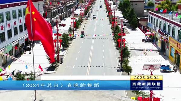 从传统作坊走向现代多元——访扎囊县委副书记 县长索朗格桑