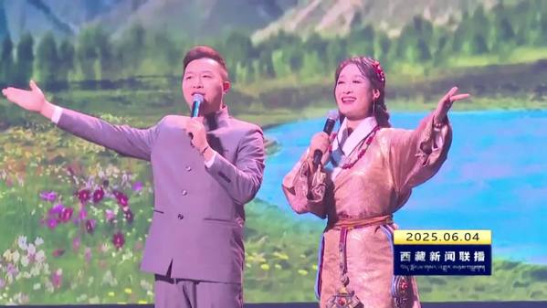 第二届江苏拉萨周致敬援藏干部人才专场演出在南京举行