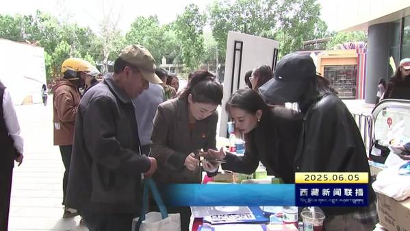 首届西藏网络辟谣宣传日活动举行
