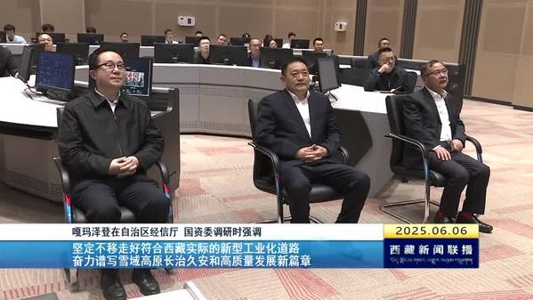 嘎玛泽登在西藏自治区经信厅 国资委调研