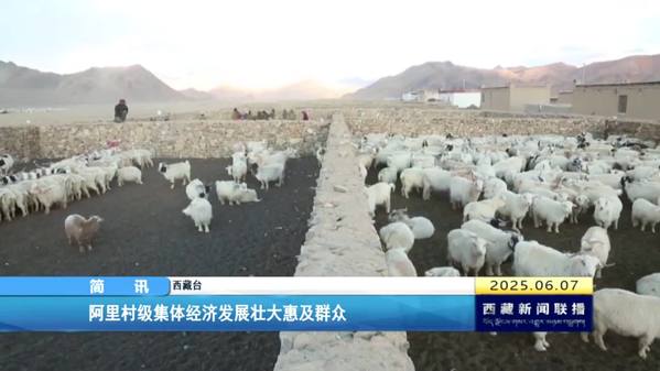 阿里村级集体经济发展壮大惠及群众