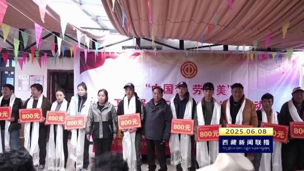 那曲市总工会在巴青县开展“五送”活动