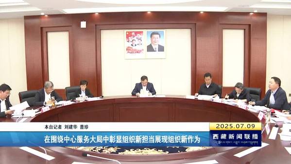 赖蛟：在围绕中心服务大局中彰显组织新担当展现组织新作为