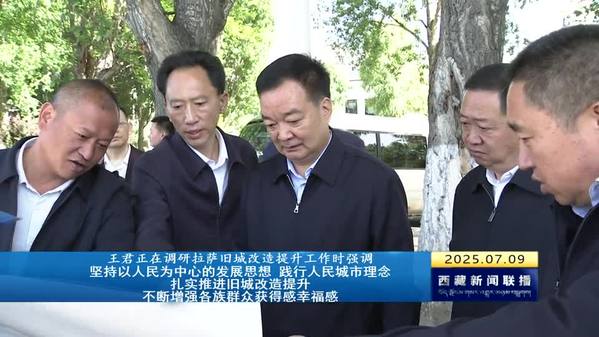 王君正调研拉萨旧城改造提升工作