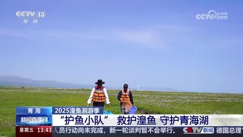 【2025湟鱼洄游季】“护鱼小队”：救护湟鱼 守护青海湖