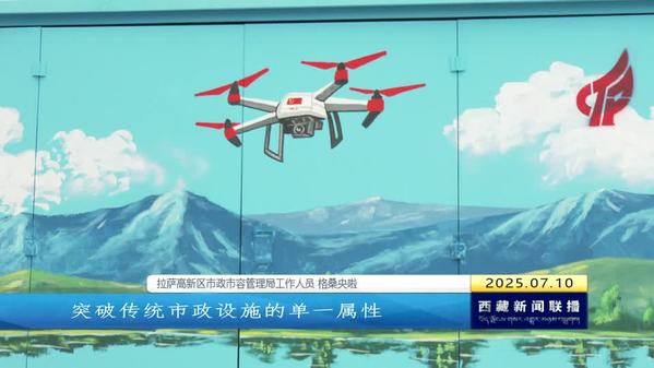 拉萨高新区：箱体“焕新”点亮城市美学 科技人文融入高原街巷