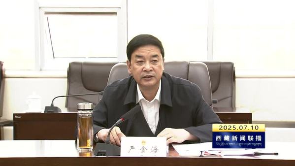 严金海参加所在党支部主题党日活动并讲党课