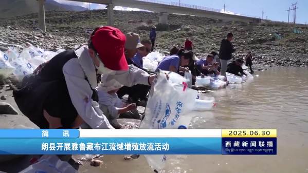 朗县开展雅鲁藏布江流域增殖放流活动