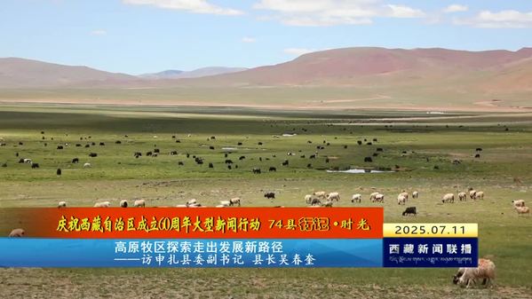 高原牧区探索走出发展新路径——访申扎县委副书记 县长吴春奎
