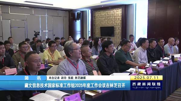 藏文信息技术国家标准工作组2025年度工作会议在林芝召开