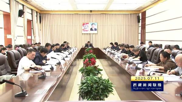 严金海：提高政治站位 统一思想认识 为推进社会主义现代化新西藏建设凝聚力量