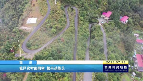 西藏自治区农村路网密 振兴动能足