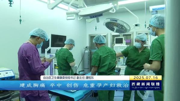 西藏自治区以“八项行动”推动“五个针对”问题得到有效缓解