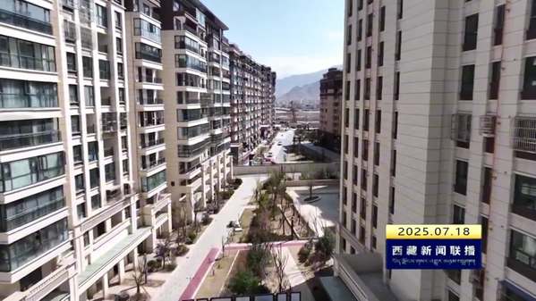 拉萨市2025年度购房补贴专项资金总额度超3亿元