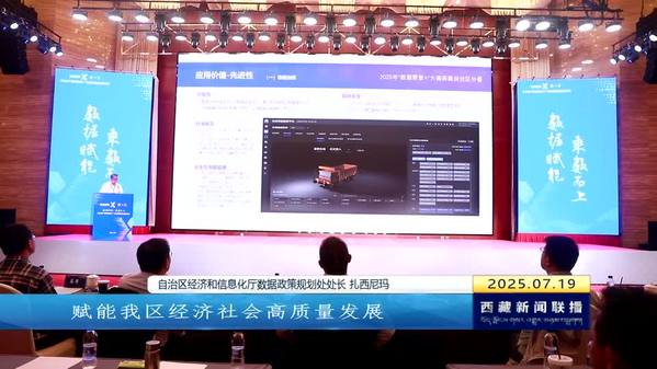 2025年“数据要素x”大赛西藏自治区分赛圆满收官