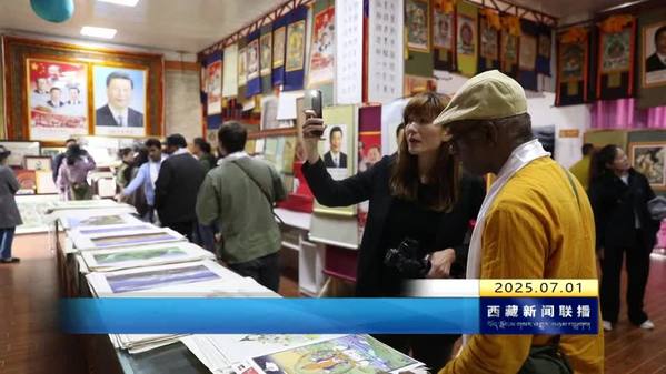 八国智库学者与媒体人士代表团深入西藏自治区参观采访