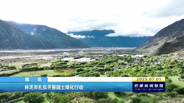 林芝市扎实开展国土绿化行动