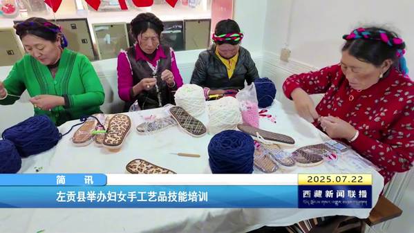 左贡县举办妇女手工艺品技能培训