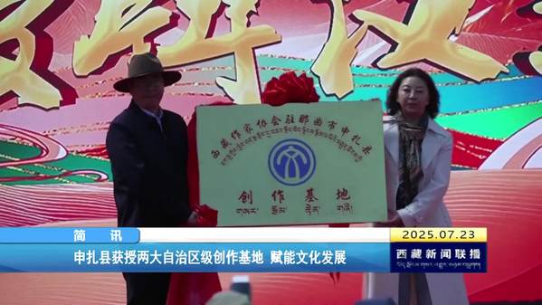申扎县获授两大自治区级创作基地 赋能文化发展
