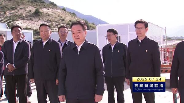 王君正在米林市调研