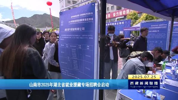 山南市2025年湖北省就业援藏专场招聘会启动
