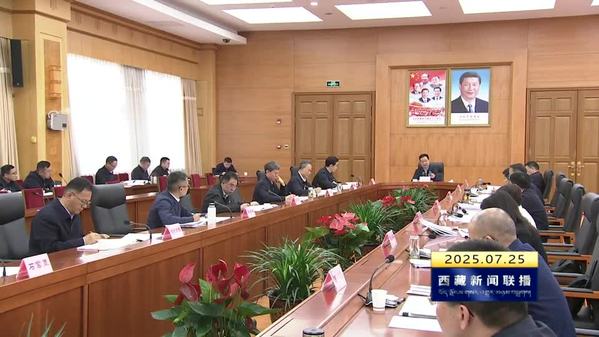王君正主持召开西藏自治区党委审计委员会会议