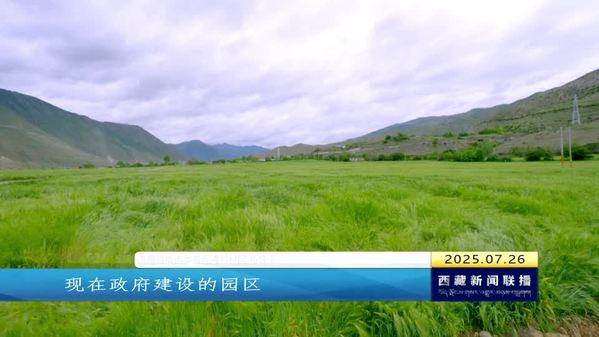 洛隆县：青稞“入住”5G园区 智慧农业焕发新活力