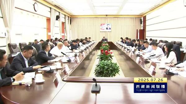 严金海与列席常委会会议的西藏自治区人大代表和县级人大常委会负责同志座谈