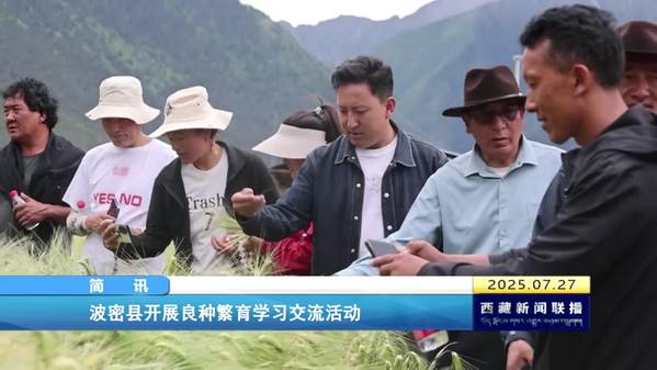 波密县开展良种繁育学习交流活动