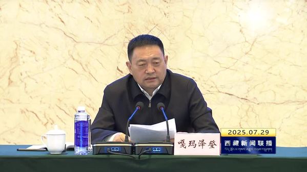 第五届西藏自治区发展咨询委员会第二次会议召开