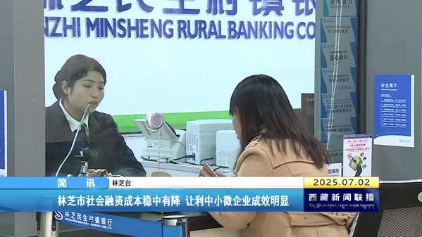 林芝市社会融资成本稳中有降 让利中小微企业成效明显