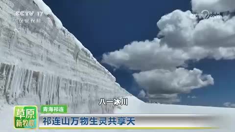 《草原新牧歌》天境祁连
