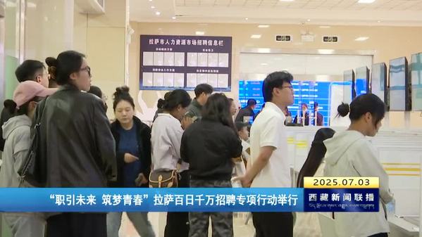 “职引未来 筑梦青春”拉萨百日千万招聘专项行动举行