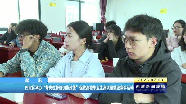 巴宜区举办“带岗位带培训带政策”促进高校毕业生高质量就业宣讲活动
