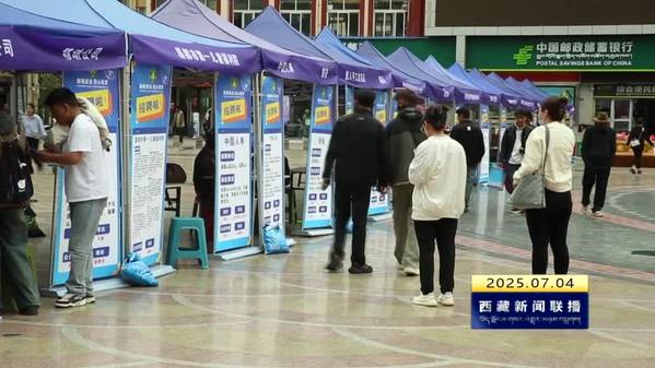昌都市举办“助残就业 同心筑梦”残疾人招聘会